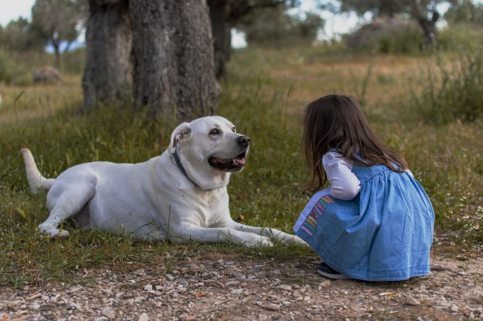Dziewczynka opiekuje się swoim psem